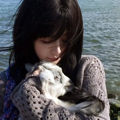 少年泰坦出击第七季